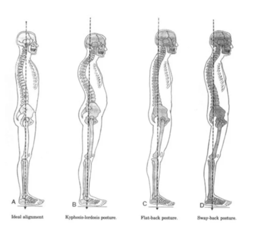 作用|跳绳对身体有什么作用？每天跳绳好吗？