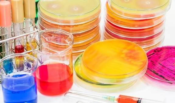 肾脏|尿有泡沫是怎么回事?常吃这6种食物来防止泡沫尿