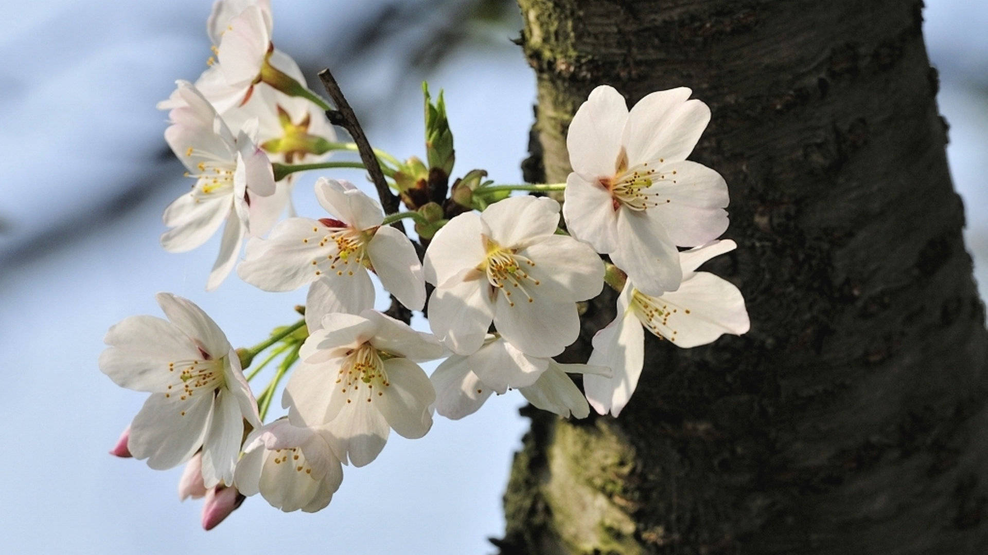 9月21日星座运势 白羊蓄势待发 天蝎信心十足 射手灵活变通 工作