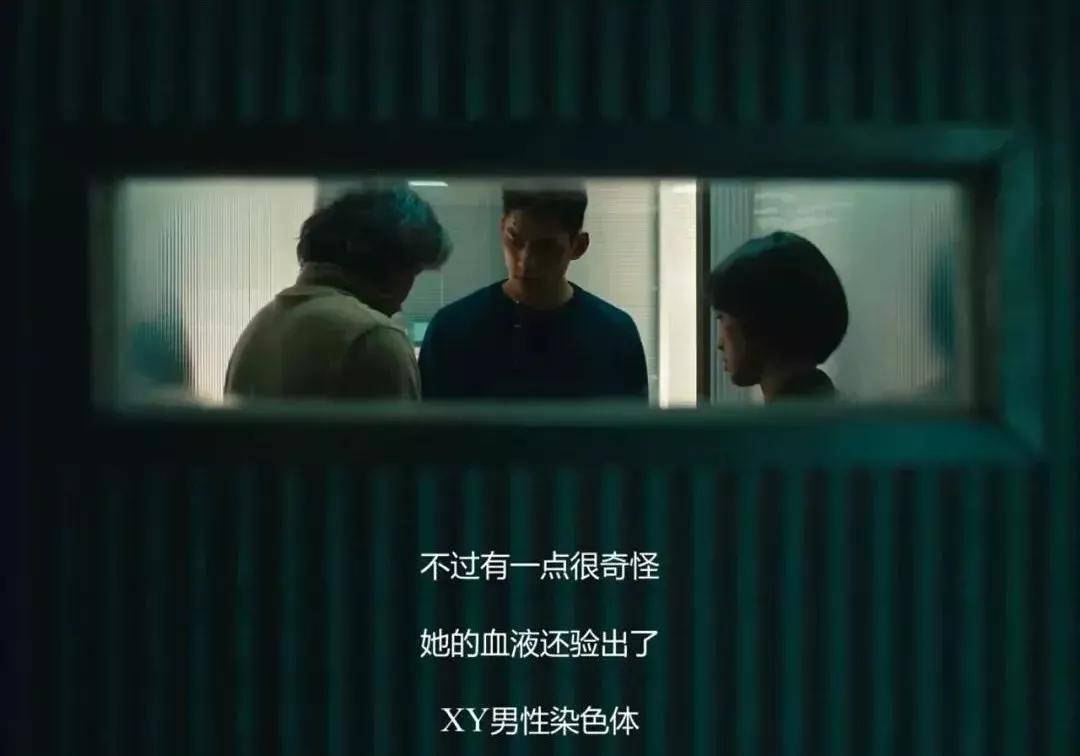 尸体|爱奇艺国际站联手台湾团队打造高分台剧，《逆局》为何一冲封神？