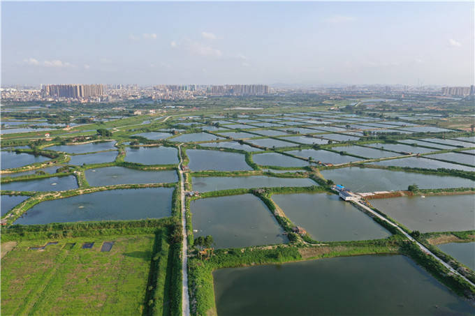 增城幸福田园基地图片