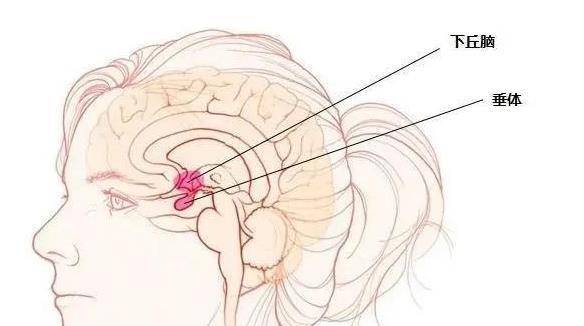 家属|男子胸痛以为心梗，家属聊天推翻了所有诊断，医生顿悟：水牛背