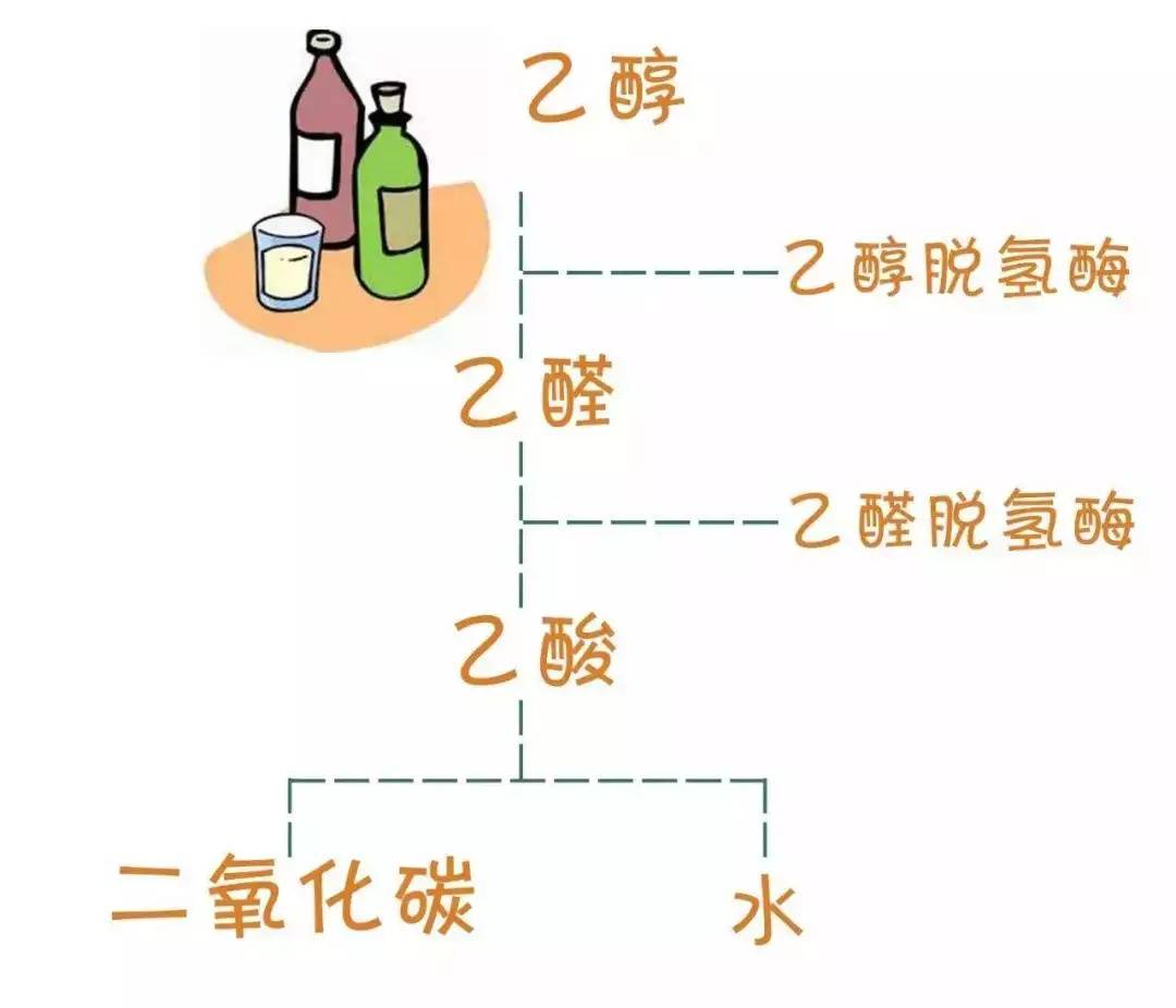 「一两黄御酒坊」分享关于白酒的3个"冷知识"_酒精