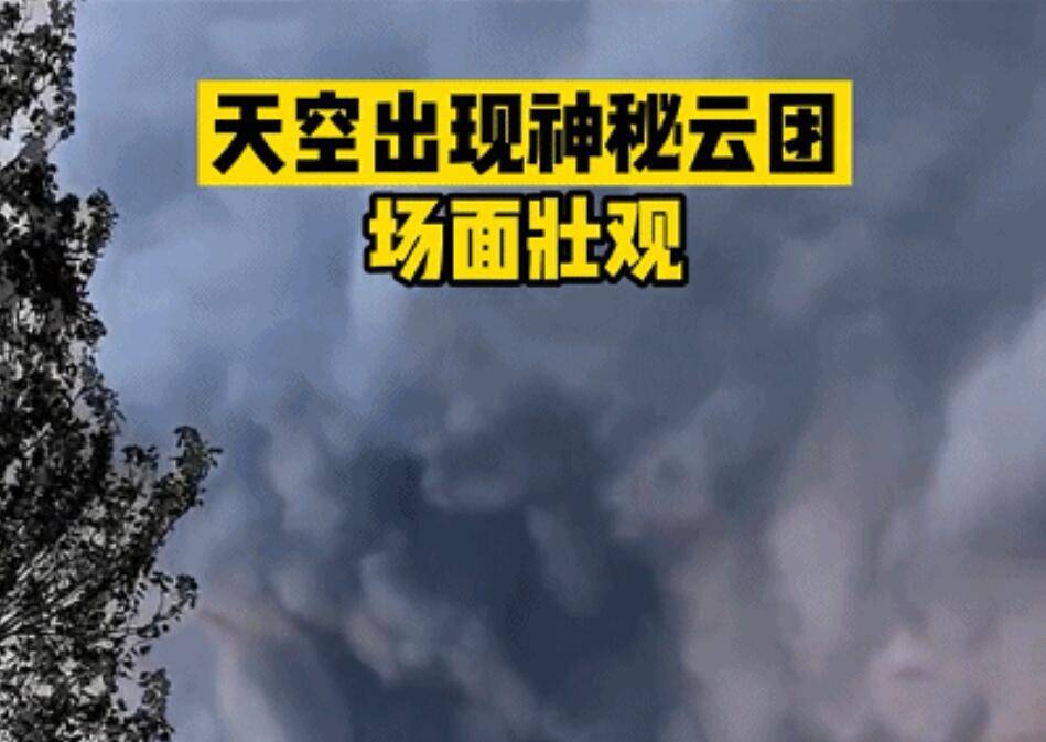 诡组什么成语_诡的成语(2)