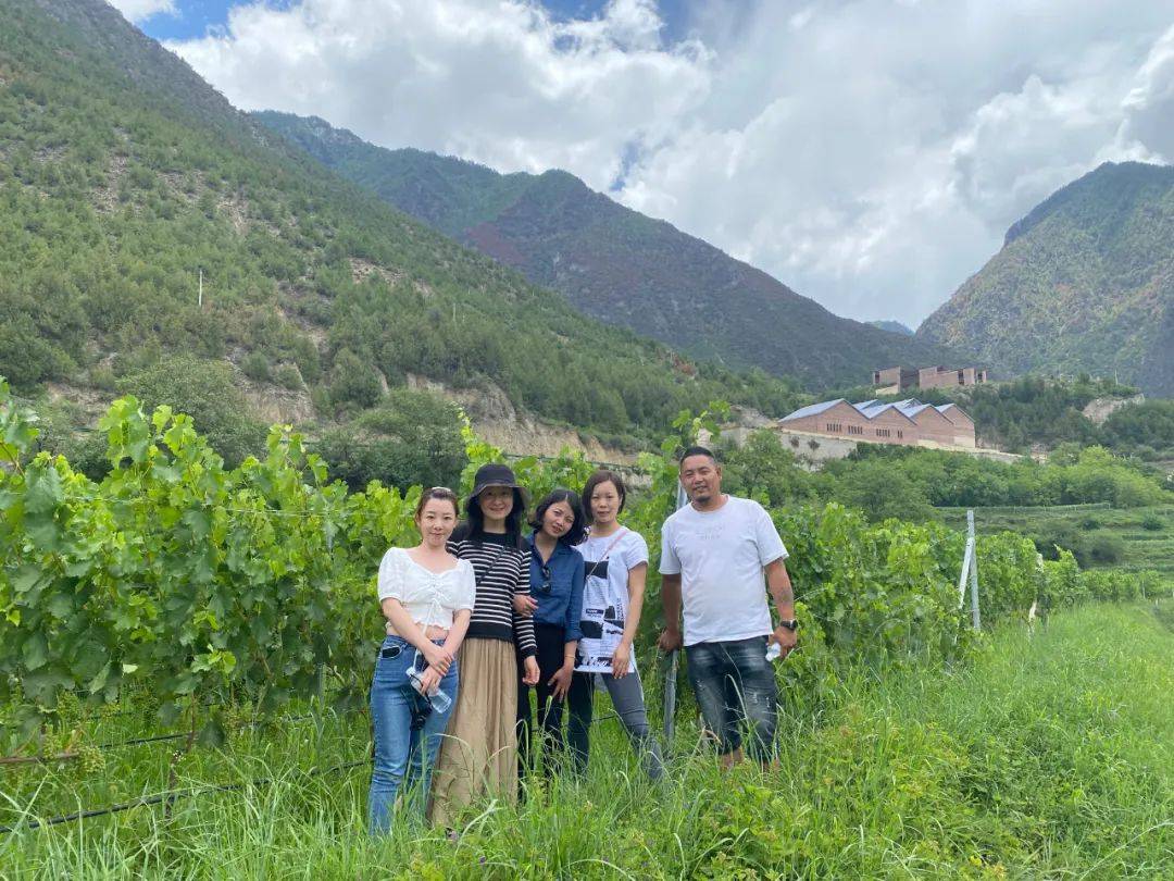 Wine|百馥访谈|前四大会计师事务所税务合伙人安洁，香格里拉葡萄酒产区研学感受