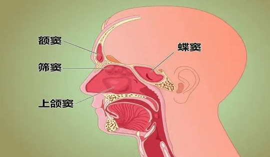 b0519e28c62c49aa9718d7edf1d305db.png
