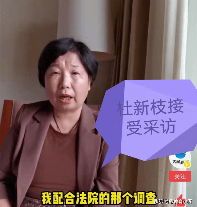 杜新枝有话要说在这一次庭审中,杜新枝更是抛出了自己的看法,认为许敏