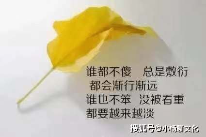 d36665af314a49bf84ea901f5fe0899e.png
