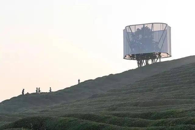 乡野|闯入一片乡野乌托邦，ICICLE之禾「自然之道月」限时开启