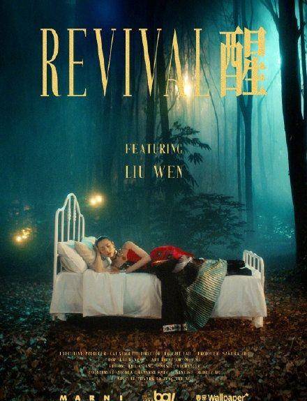 设计 意大利品牌跨界苗族设计，刘雯化身苗寨少女，国潮燃起来不得了