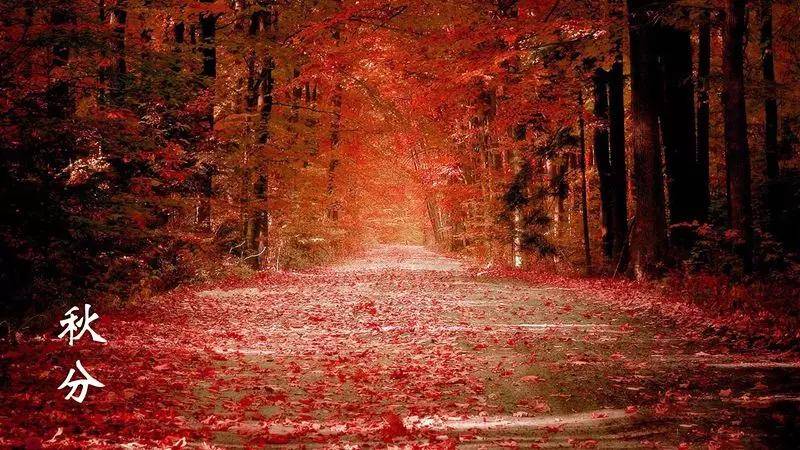 被称为|正是一年最美时
