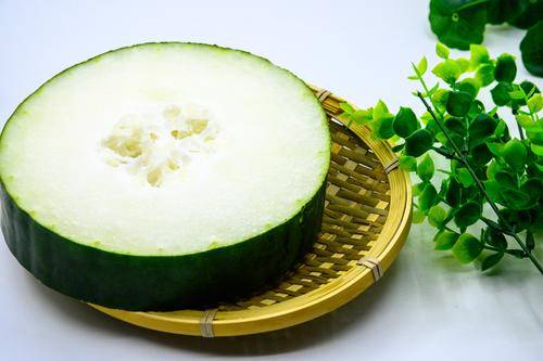 冬瓜是什么瓜 a386981aa0e444fa8abeede828e78fef.jpeg