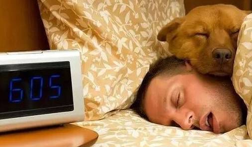 对比|养狗前后的大对比,资深铲屎官纷纷“躺枪”!