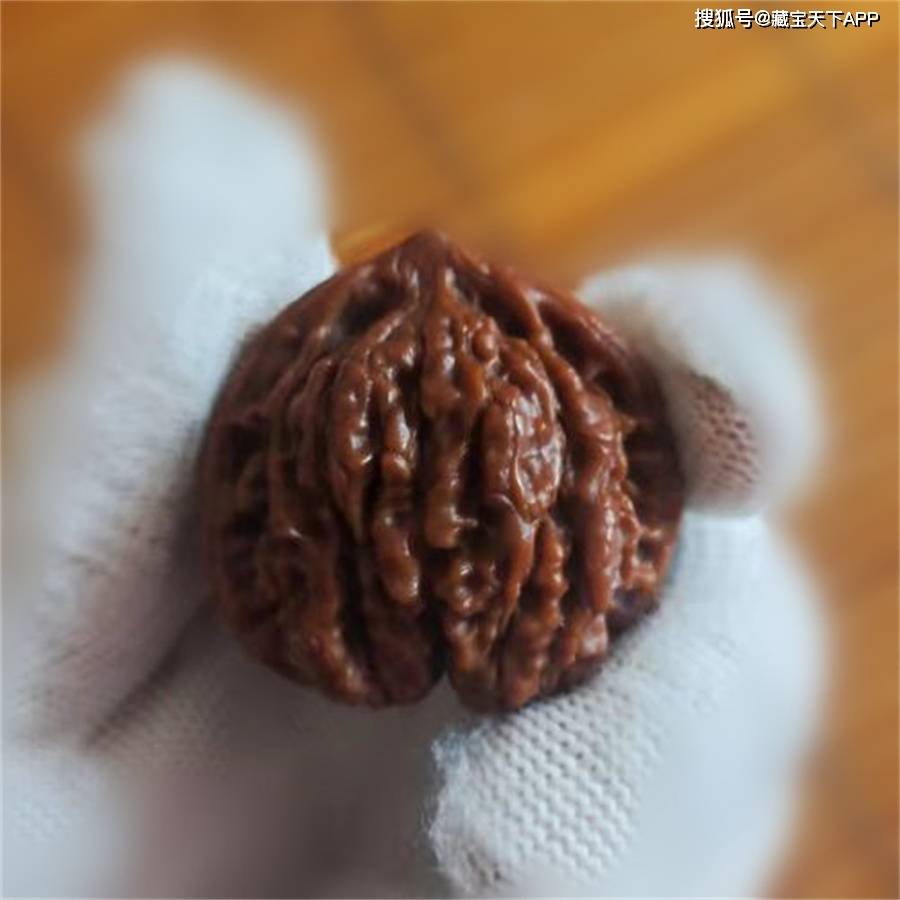 a7c21549cc9e4cada5cfa02a5315ffea.jpeg