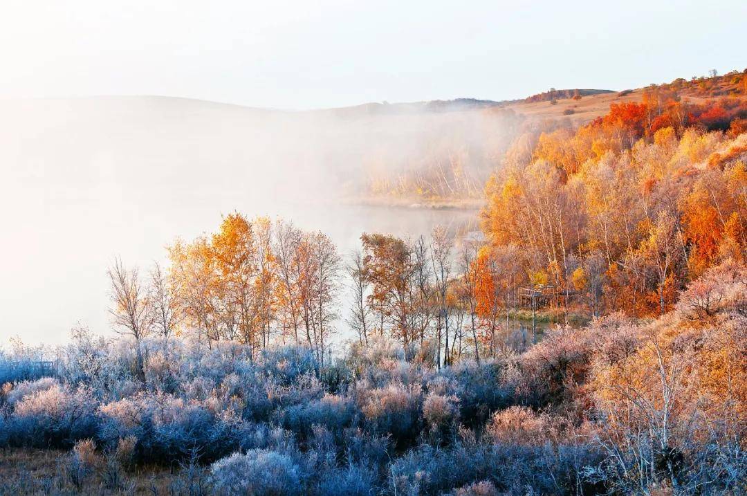 被称为|正是一年最美时