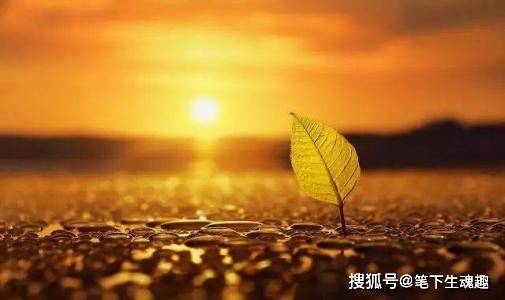 上善若水的意思和道理 02d45df6421d4a558529fb048a815191.jpeg