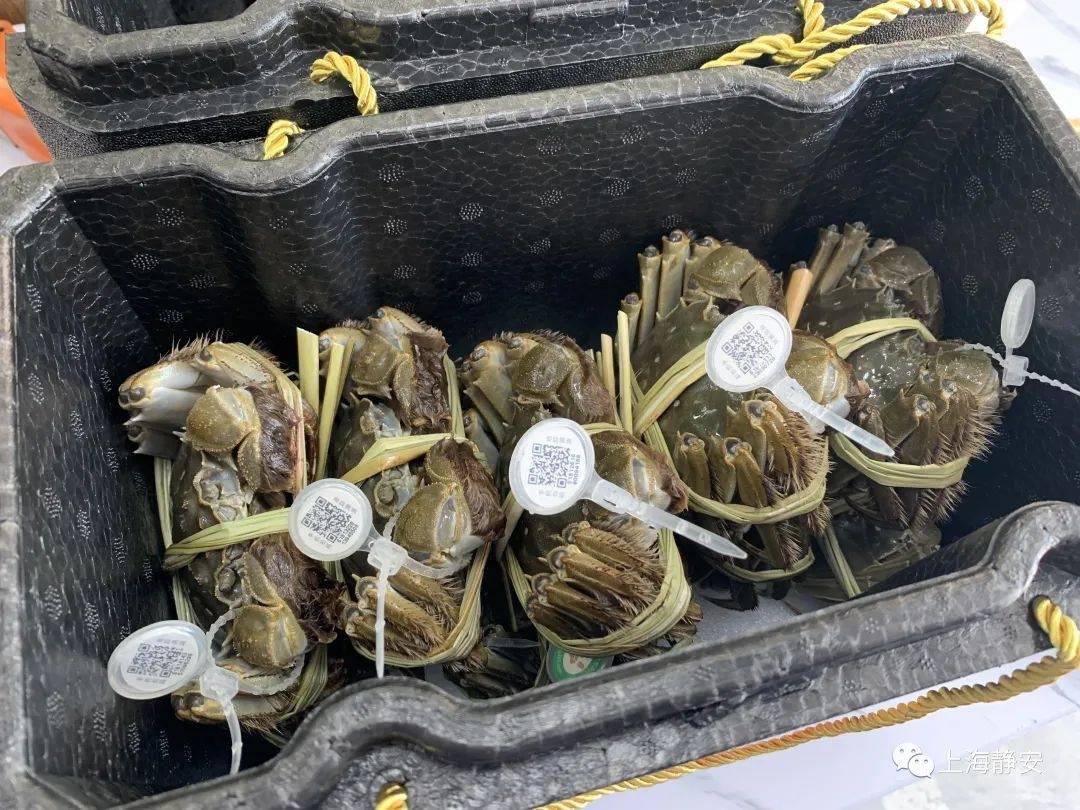 又能吃到肥美的大闸蟹了!预计10月大量供应
