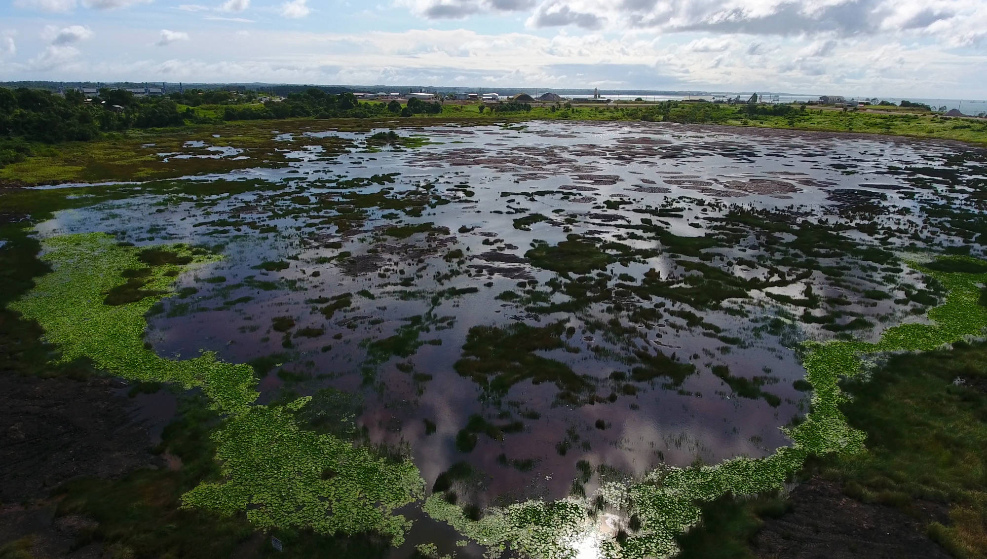 原创滴沥青实验耗死两代科学家仍未停止只为证明沥青是液体