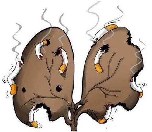 吸烟者的肺卡通图片图片