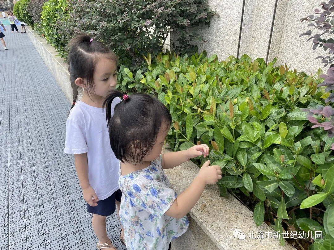 活动|时光恰好,初秋相见——北流市新世纪幼儿园开学活动纪实