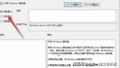 Win10系统win键失灵怎么办 选项
