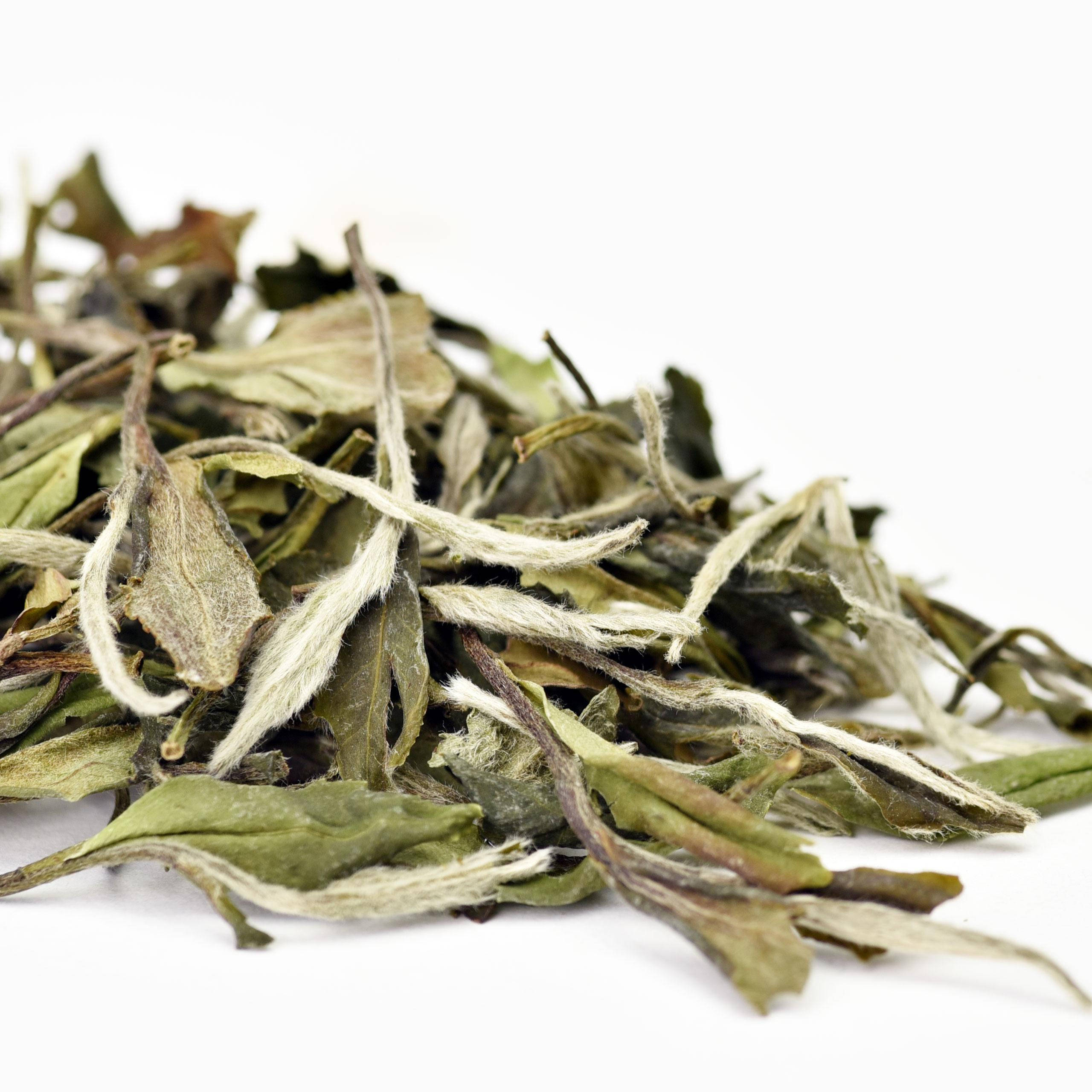 白茶如何泡?可别只知道一杯二盖小三大四五飘六煮了