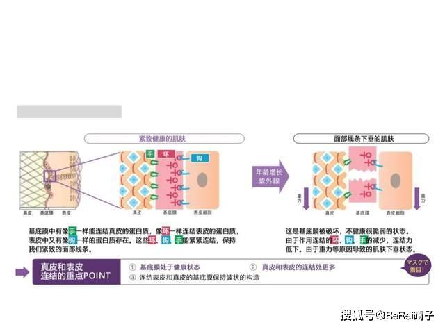 树皮Naris 祛皱抚纹紧致系列