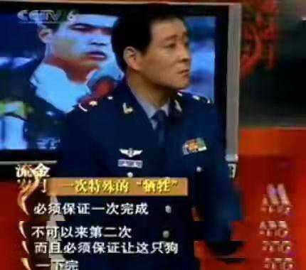 因为|2464人要求“炸死”导演,为了效果炸死军勋犬的姚守岗,被骂了