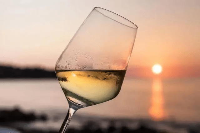 什么|别卡速:葡萄酒界中的“术语”,你都知道吗【红酒知识13】