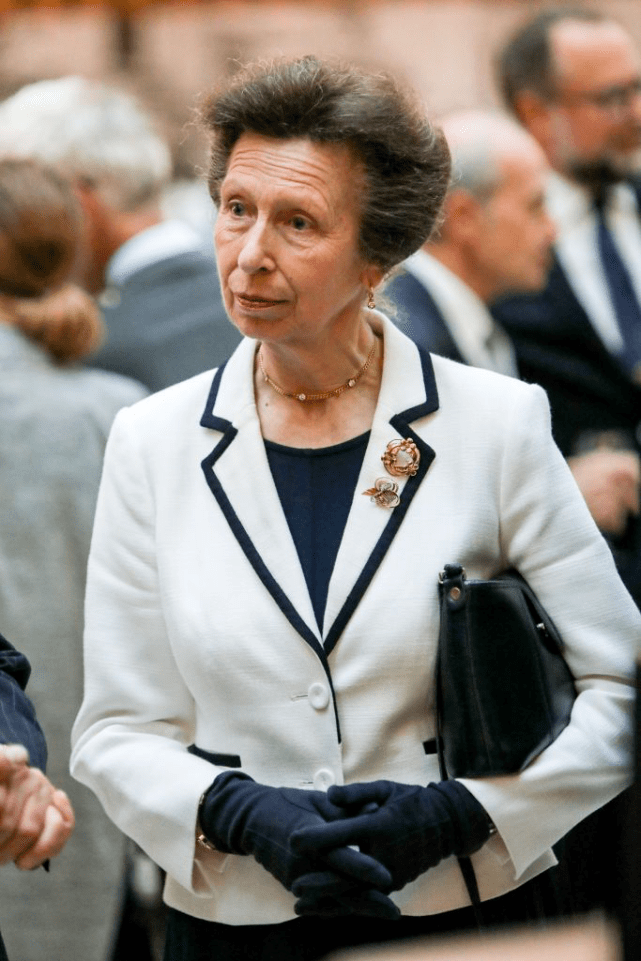 颜色 英国长公主比女王更优雅！灰色的假两件大衣显俏皮，不像71岁老太