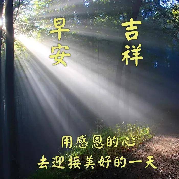 原创8张特有创意的清晨早上好免打字问候图片好看的朋友圈早安问候