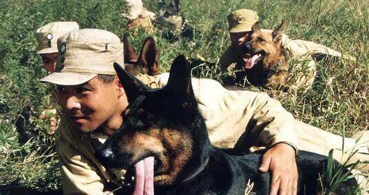 因为|2464人要求“炸死”导演,为了效果炸死军勋犬的姚守岗,被骂了