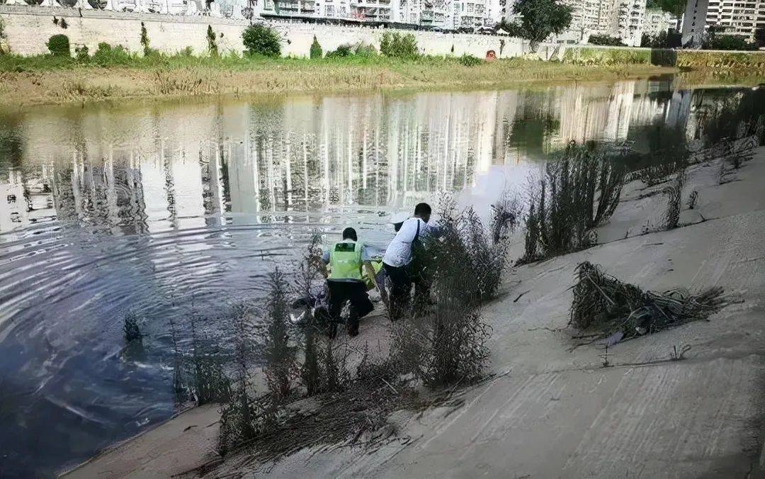 校园|又一个玩手机的初中学生，死于同学举报