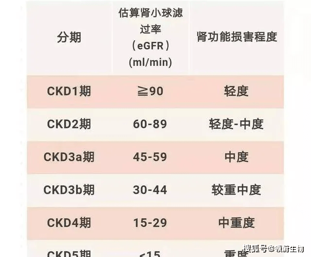 疗法|前景可期：肾脏干细胞疗法逐渐成为治疗肾脏疾病有效途径