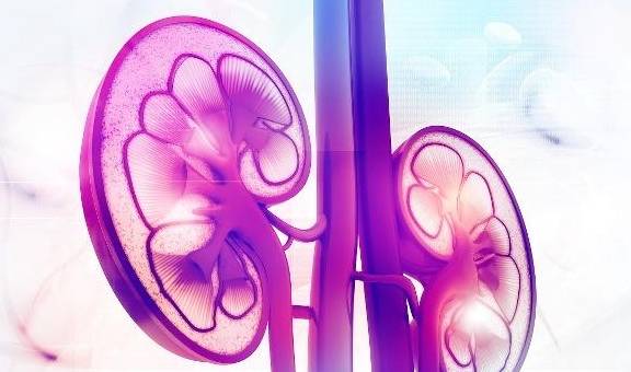 肾脏|肾友控血压，只限盐是不够的，记住2点，血压降下来了，肾也健康