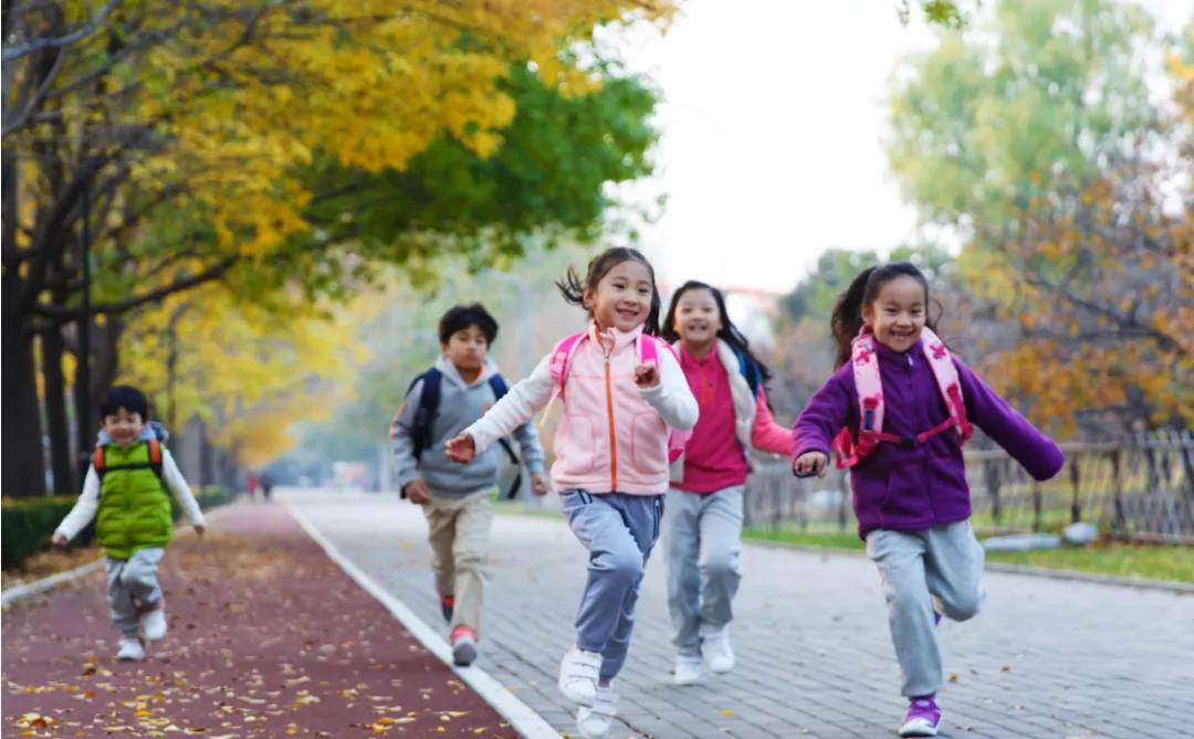 活动|儿童适用能力差，真相令人心疼……