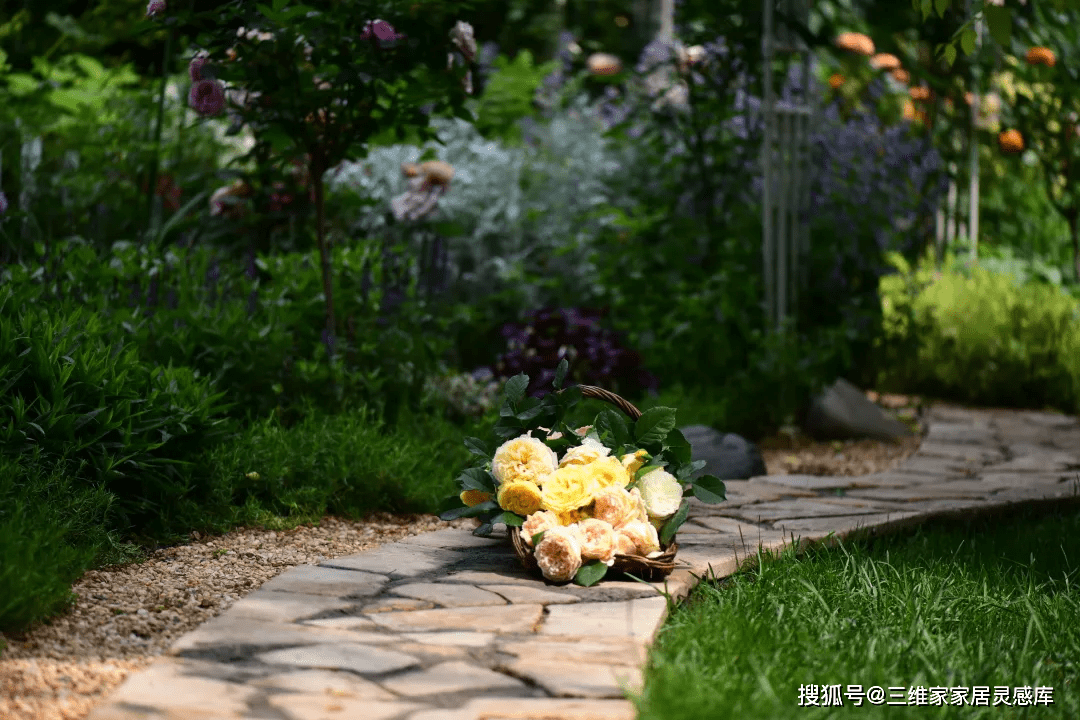 北方几月份把花搬到室外合适 bea4d717cfbb410b97248fb77089b1ab.png