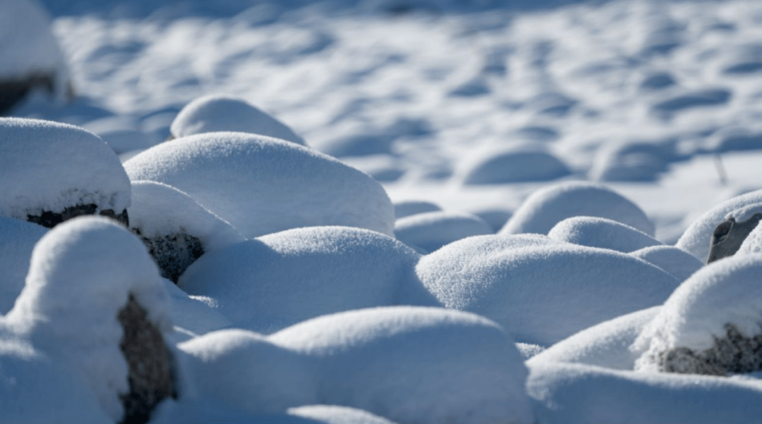 为什么禾木吉克普林国际滑雪度假区这么受欢迎听说是因为这里的粉雪