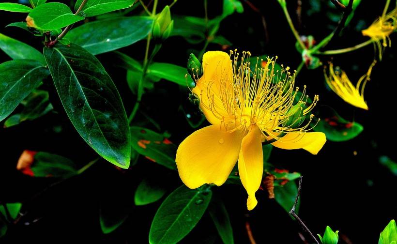 原创下个月,桃花缠身,真爱如期而至,相遇良人,同心白首的4大星座