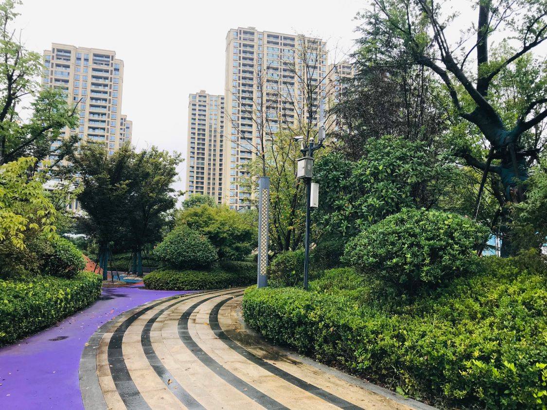 羅莊區北上東進戰略實施,加上湖北路,沂蒙南路,沂河路高架等開通,百花