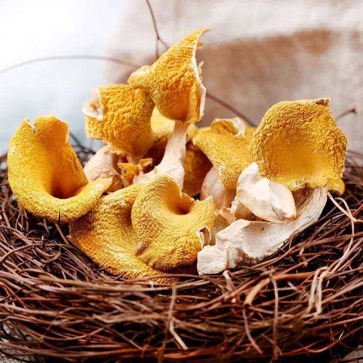 农小淘|秋风劲 | 菌菇养生正当时