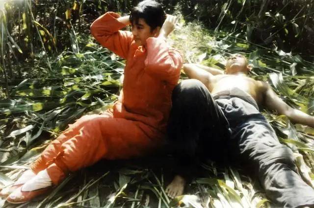 海市蜃楼|80年代十大“现象”佳片,《少林寺》1.6亿,《红高粱》获奖无数2