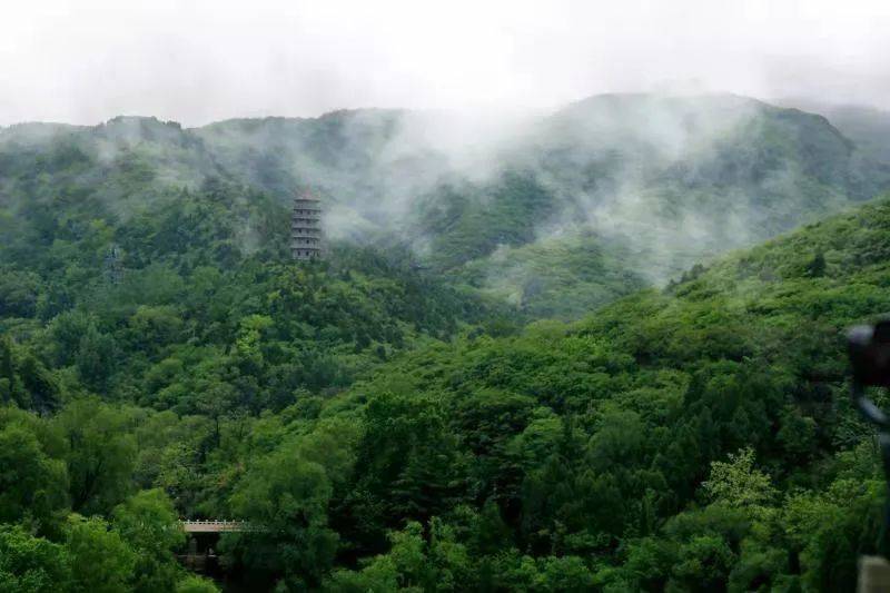 胜景|雨季的济南有多美？这几处雨中撩人胜景恰似“烟雨江南”！