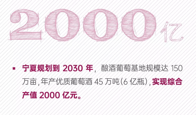 成长|宁夏葡萄酒的数字成长记！