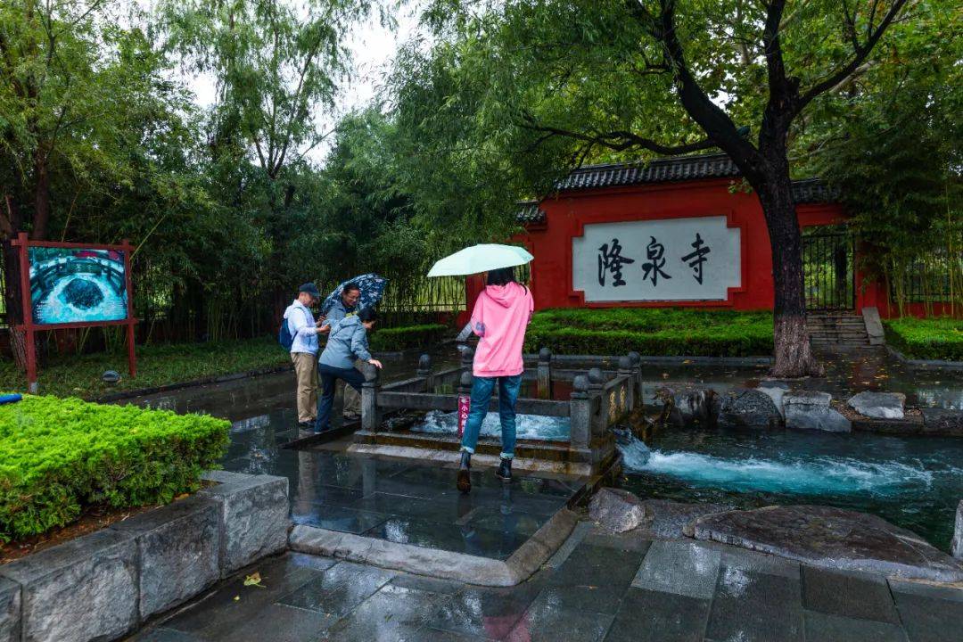 胜景|雨季的济南有多美？这几处雨中撩人胜景恰似“烟雨江南”！