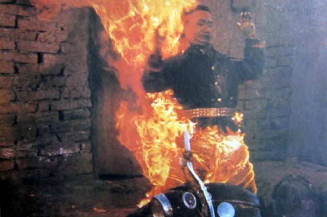 海市蜃楼|80年代十大“现象”佳片,《少林寺》1.6亿,《红高粱》获奖无数2