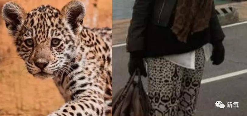 美人 被路人偶遇的张柏芝，这状态，会是传说中的怀四胎吗？