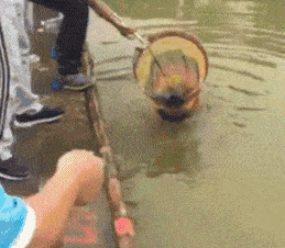 搞笑GIF：真有點不敢相信 現在的衣服都這樣穿嗎？ 搞笑整蠱 第3张