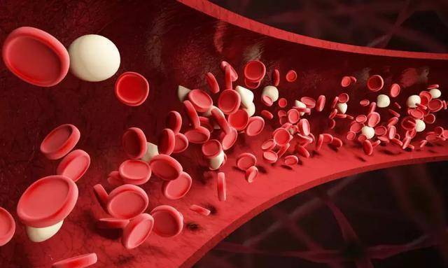 血常规|血常规检查中，若是这3个指标升高，别忽视了
