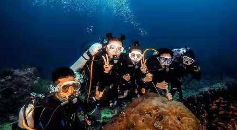 整体 刘诗诗穿polo衫拍照片，既清纯又动人，仿佛是学生时代的校花